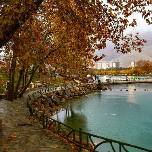 مستان چیه چیزی شده شنیدم که بریدی موهات سفید شده